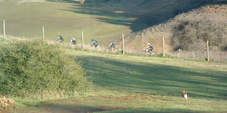 5 e-Bikers on a country trail.